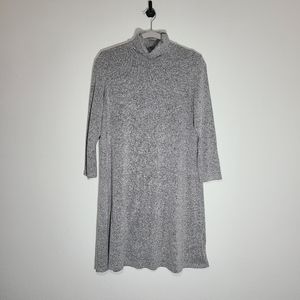 American Eagle Outfitters Turtleneck Dress